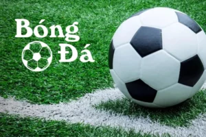 Tìm Hiểu Quy Định Bóng Trong Cuộc Và Bóng Ngoài Cuộc Để Hiểu Rõ Trận Đấu