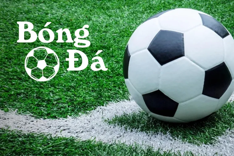 Tìm Hiểu Quy Định Bóng Trong Cuộc Và Bóng Ngoài Cuộc Để Hiểu Rõ Trận Đấu