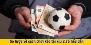 Hướng Dẫn Chi Tiết Cách Chơi Kèo 2.75 Chiến Thuật Thắng Lớn Từ Chuyên Gia