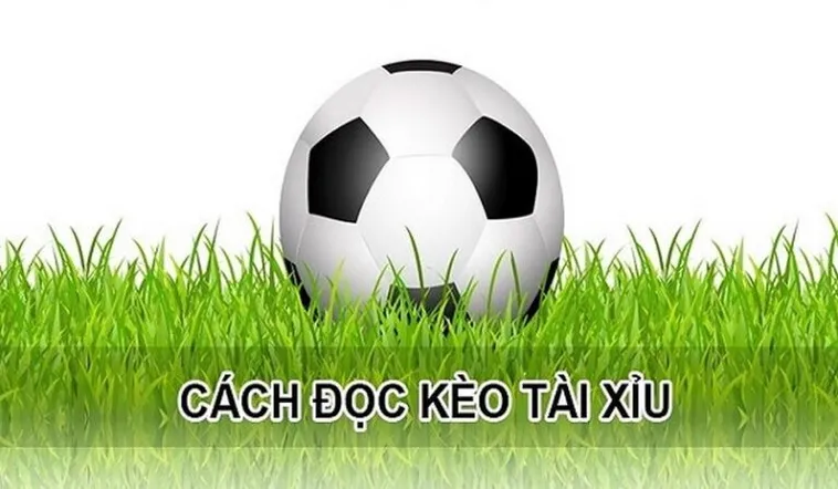 Cách Chơi Kèo Tài Xỉu Hiệp 1 Hiệu Quả Và Bí Quyết Soi Kèo Chuẩn