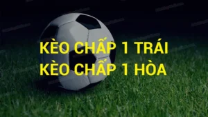 Hướng Dẫn Cách Đọc Kèo Chấp 1 Chi Tiết Và Hiệu Quả Nhất