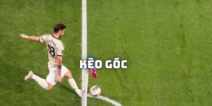 Tìm Hiểu Cách Chơi Kèo Phạt Góc Bóng Đá Cho Người Mới