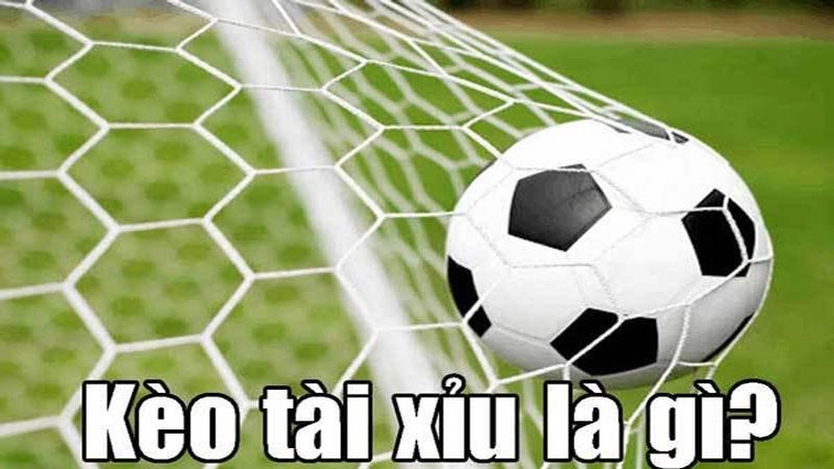 Hướng Dẫn Đọc Kèo Tài Xỉu Bóng Đá Đầy Đủ Và Dễ Hiểu