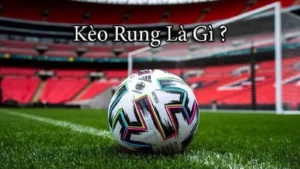 Hướng Dẫn Cách Chơi Kèo Rung Trong Bóng Đá Hiệu Quả Nhất